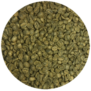 Panama Garrido Estates Washed Green Coffee Beans