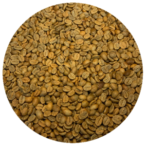 Panama Mama Cata Estate Caturra ASD “Porton” Green Coffee Beans