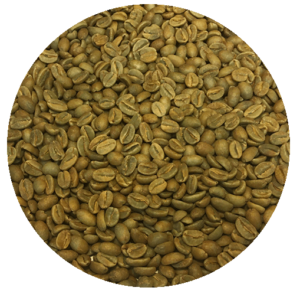 Panama Mama Cata Estate – Geisha ASD “Arenal” Green Coffee Beans