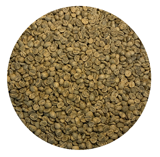 Guatemala De Dios Green Coffee Beans