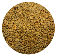 Guatemalan AnaCafe One Of A Kind Lot 13 - Rosma Green Coffee Beans