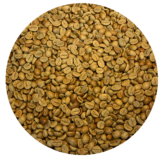 Guatemalan Premium Santa Rosa Blue Ayarza Natural Processed Green Coffee Beans