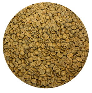 Brazil Mogiana Guaxupé 17 18 FC SS Green Coffee Beans