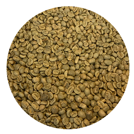 Congo Org. Kivu Washed Top Lot Green Coffee Beans