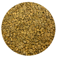Ethiopian Asikana Gidami Natural Gr. 1 Org. Bird Friendly (SMBC) Green Coffee Beans