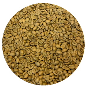 Ethiopian Asikana Gidami Natural Gr. 1 Org. Bird Friendly (SMBC) Green Coffee Beans