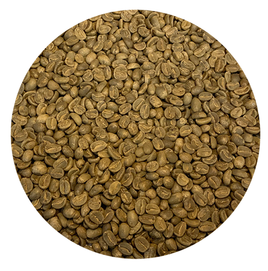 Haitian Premium Singing Rooster Blue Pine Forest Green Coffee Beans