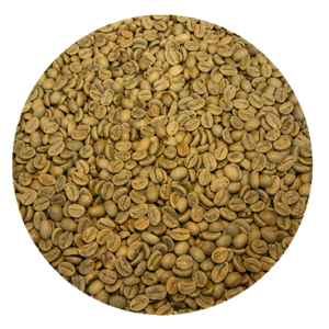 Indian Mysore Extra Bold Green Coffee Beans