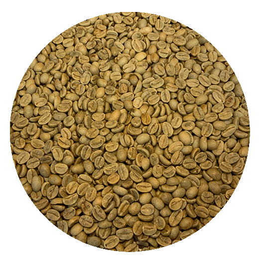 Indian Mysore Extra Bold Green Coffee Beans