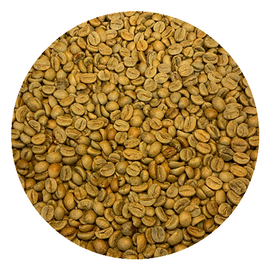 Nicaraguan Org. SHB EP Jinotega Natural Processed Green Coffee Beans
