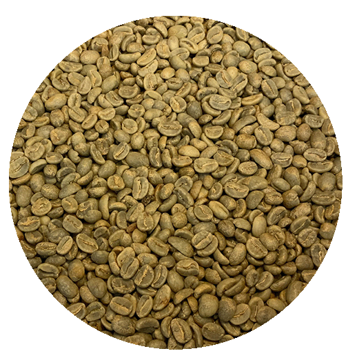 Peru FTO Cajamarca Lima Coffee Norte Top Lot Green Coffee Beans