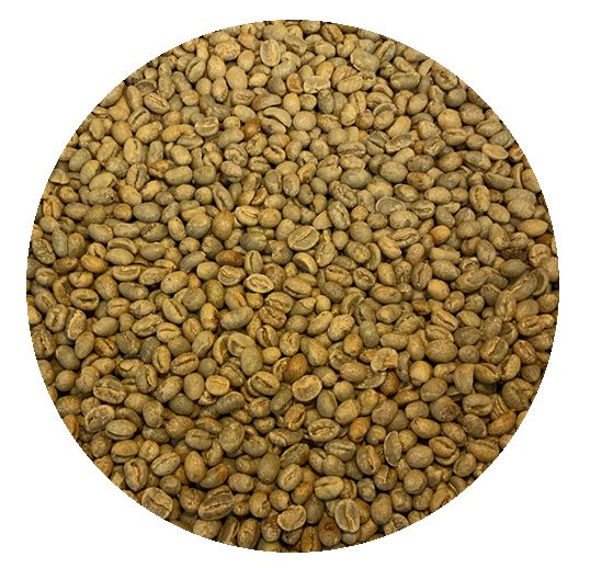 Tanzanian BCT Select Peaberry Green Coffee Beans