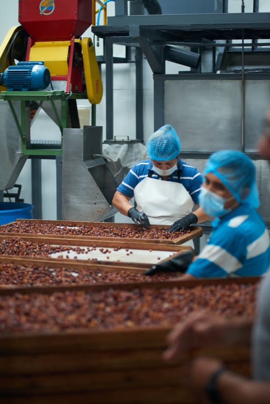 cascara coffee workers