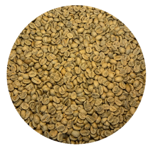 El Salvador Ahuachapán La Cubana & San Gabriel Washed Processed Green Coffee Beans