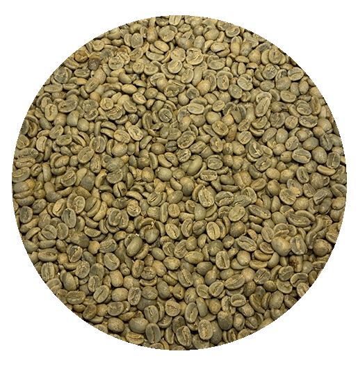 Guatemalan Quiche Finca Los Caballitos Green Coffee Beans