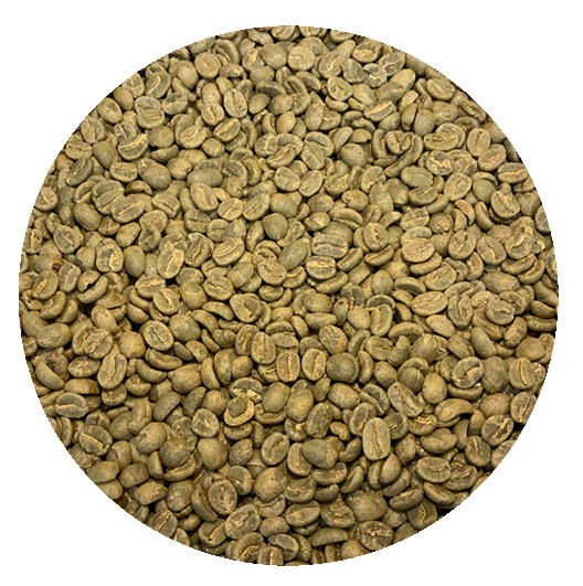 Kenya Kirinyaga AA Baragwi Guama Green Coffee Beans