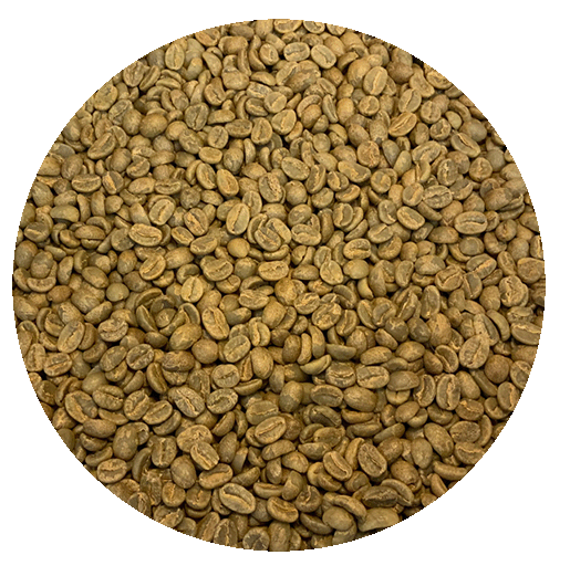 Uganda Org. Mbale Mountain Harvest Washed Processed Green Coffee Beans