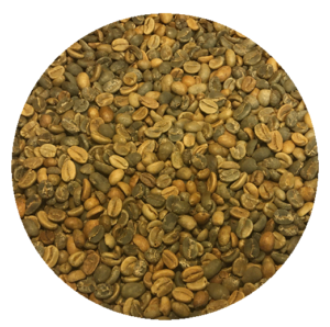 100% Indonesian Bali Org. – Kintamani Highlands Blend (Mokka Java Clone) Green Coffee Beans