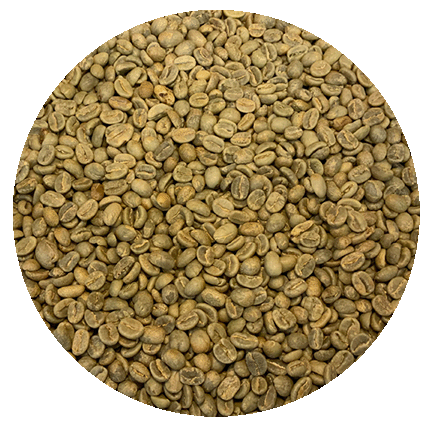 Colombian Premium Huila Acevedo AA (Top Lot) Green Coffee Beans