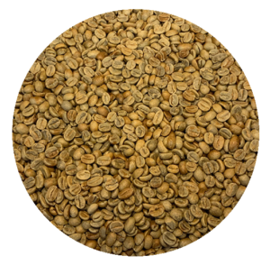 El Salvador Pacas Estate Finca La Esperanza Honey Processed Green Coffee Beans