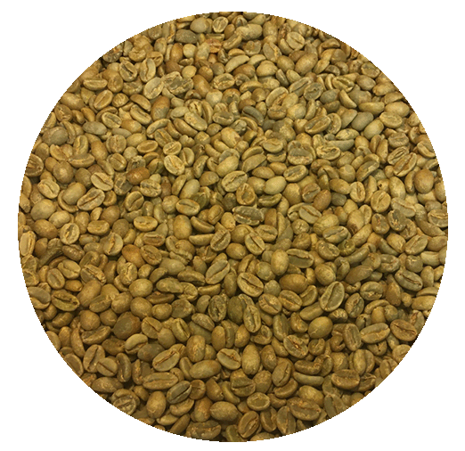 Ethiopian Guji Hambela Natural Gr. 1 - Deri Kidame Green Coffee Beans