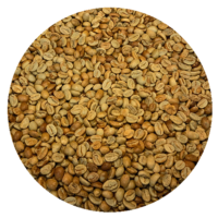 Honduran Org. 18 Rabbit Microlot Natural Processed Green Coffee Beans