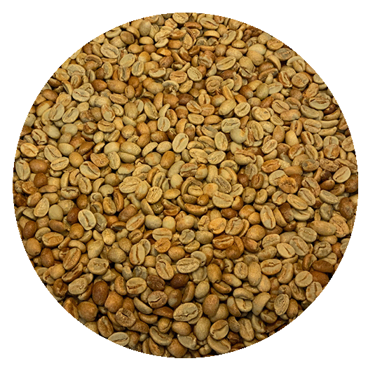 Honduran Org. 18 Rabbit Microlot Natural Processed Green Coffee Beans