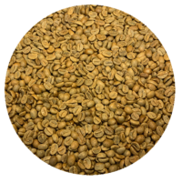 Burundi Premium Bourbon - Migoti Hill Natural Processed Green Coffee Beans