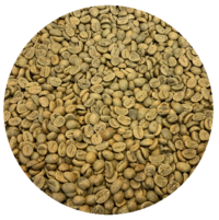 Colombian Premium Huila Pacamara Extended Fermentation Green Coffee Beans