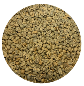 Guatemalan Premium Huehue. - Finca Villaure Lot 3 Green Coffee