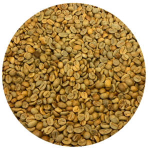 Guatemalan Premium Huehue. - Finca Villaure - Rodin Villatoro Natural Green Coffee Beans