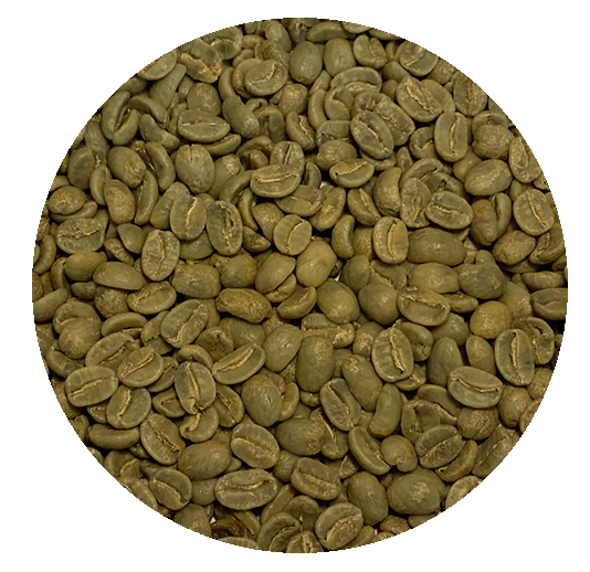 Papua New Guinea Nebilyer Valley AA Green Coffee Beans