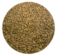 Papua New Guinea Org. – Kainantu Konkua A Green Coffee Beans