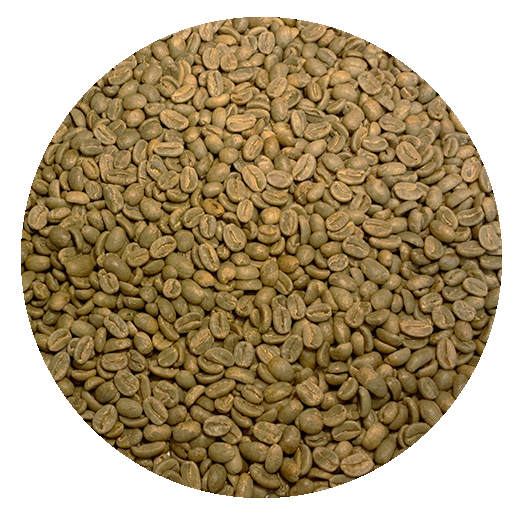 Papua New Guinea Org. – Kainantu Konkua A Green Coffee Beans