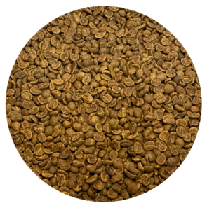 Decaffeinated Colombian Royal Select MWP Green Coffee Beans