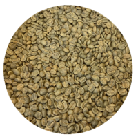 Nicaraguan SHG EP Olomega Green Coffee Beans