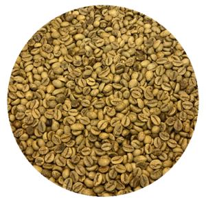 Vietnam Lam Dong - Robusta Washed Grade 1 Green Coffee Beans