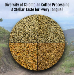 Colombian Coffee Processing Image Final