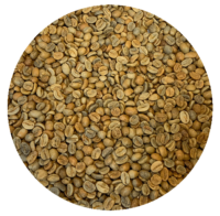 Costa Rican – Las Lajas Micromill – Finca El Guachipelin – “Perla Negra” (“Black Pearl”) Natural Green Coffee Beans