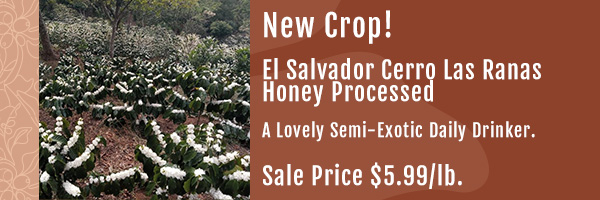 El Salvador Honey Processed