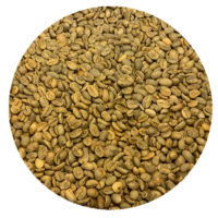 Ethiopian Natural Harrar 4 - Queen City Green Coffee Beans