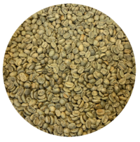 Mexican FT Org. Chiapas - CESMACH Cooperative - Washed Processed Green Coffee Beans