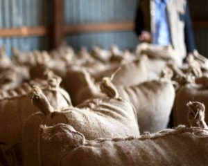 ethiopian coffee bags