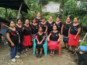 mayan harvest womens group
