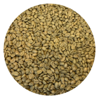Ethiopian FT Org. Sidama Gr. 2 Washed - Shanta Golba Green Coffee Beans