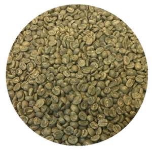 Kenya Nyeri - Othaya FCS - Chinga AA Top Lot Green Coffee Beans