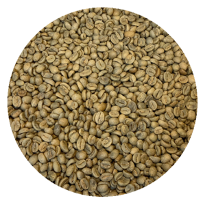 Bolivian Premium - Apolo - Trinidad Indigenous Community- Cafe Kreyol Green Coffee Beans