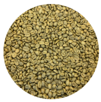 Costa Rican Palmares SHB EP Monte Crisol Green Coffee Beans