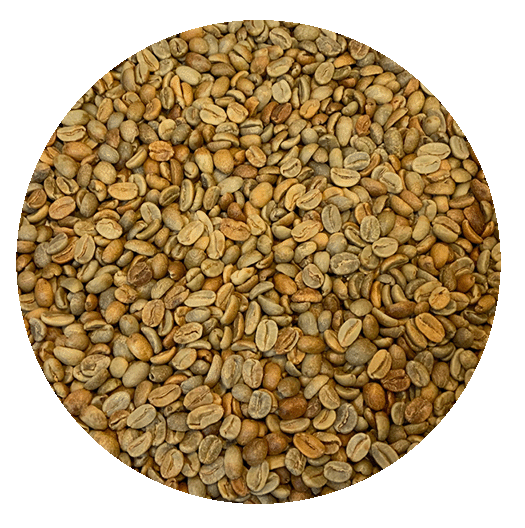 Coffee Beans On Scale by Stocksy Contributor Ibex.media - Stocksy