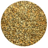 El Salvador Chalatenango - Finca San Francisco - Gesha Natural Processed Green Coffee Beans